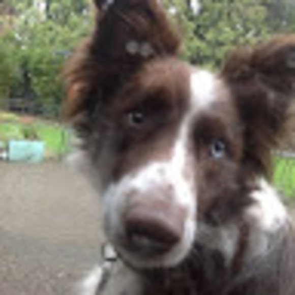 Meet your Posher, Valerie - Picture 1 of 1